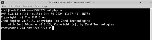 Check version of installed PHP Check version of installed PHP
