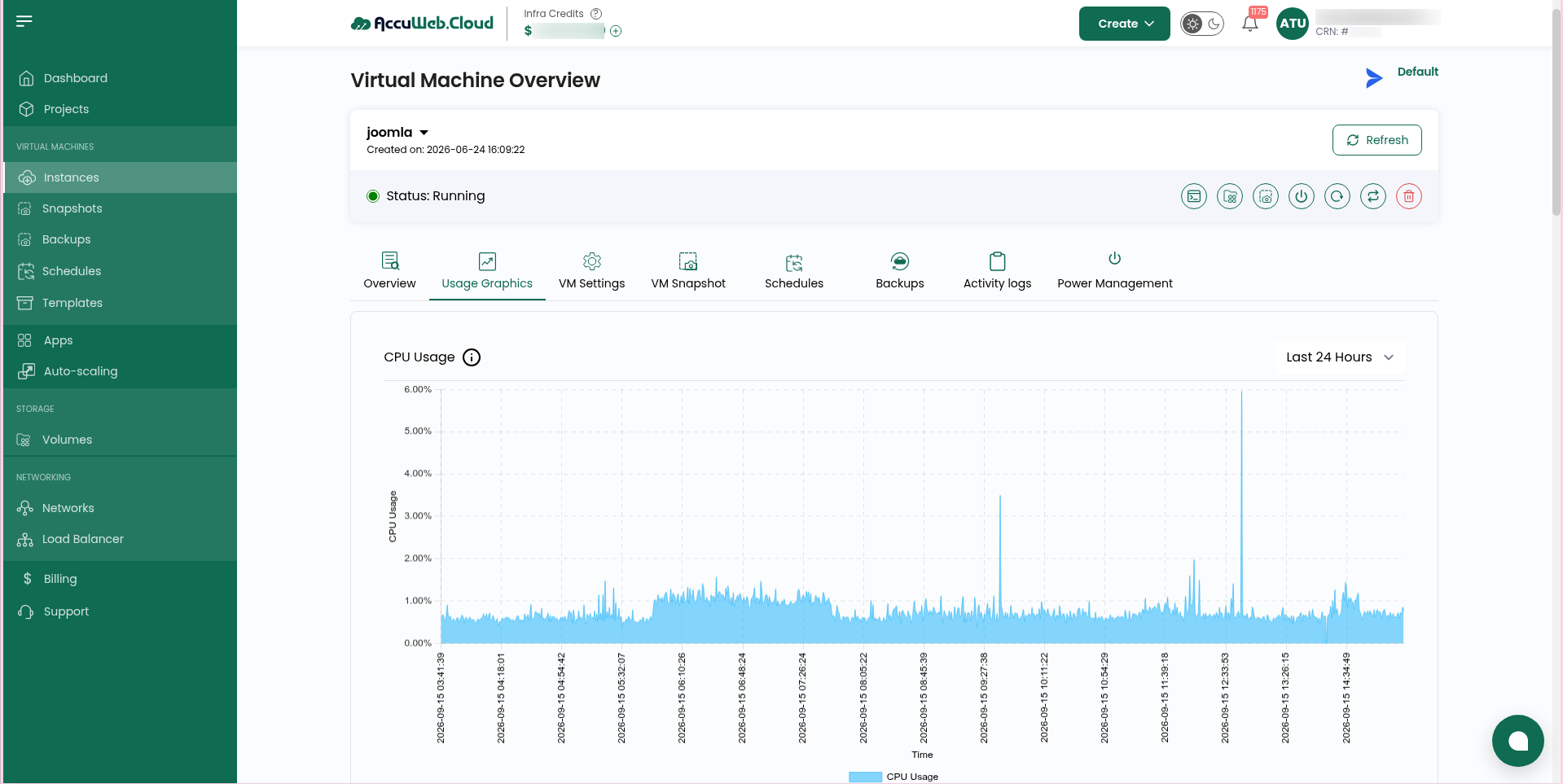 Live CPU, disk and memory graphs for a virtual machine