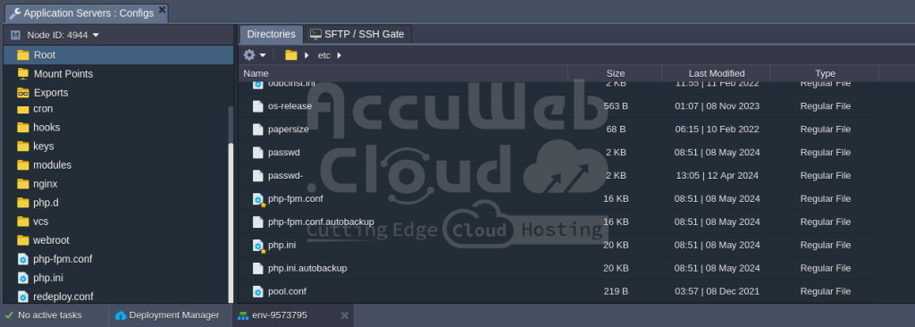 PHP auto configuration | AccuWeb.Cloud Guide