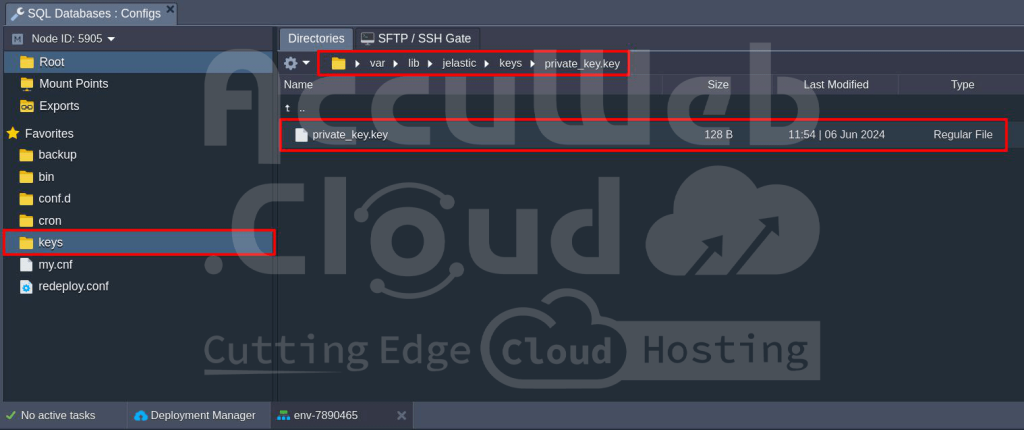 Database Configuration Files in AccuWeb.Cloud Platform
