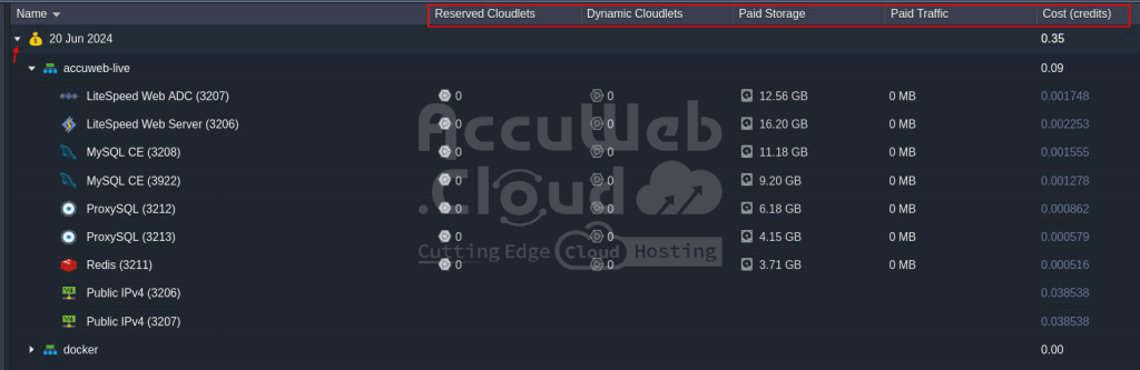 Monitor Consumed Resources in Detail on AccuWeb.Cloud