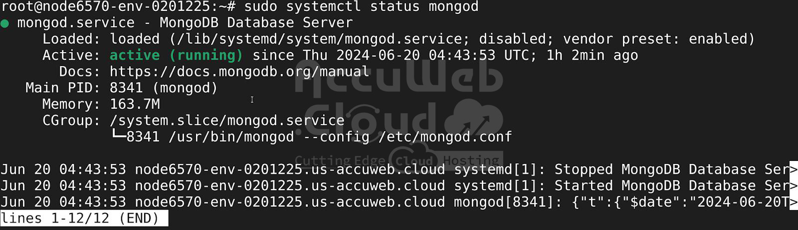 Run MongoDB Community Edition Run MongoDB Community Edition