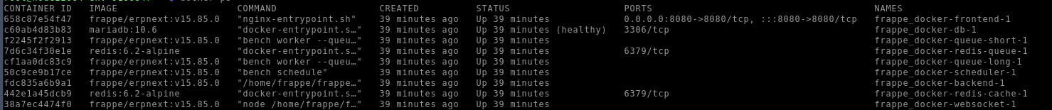 Real ERPNext Docker Deployment Real ERPNext Docker Deployment