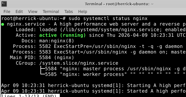 NGINX2