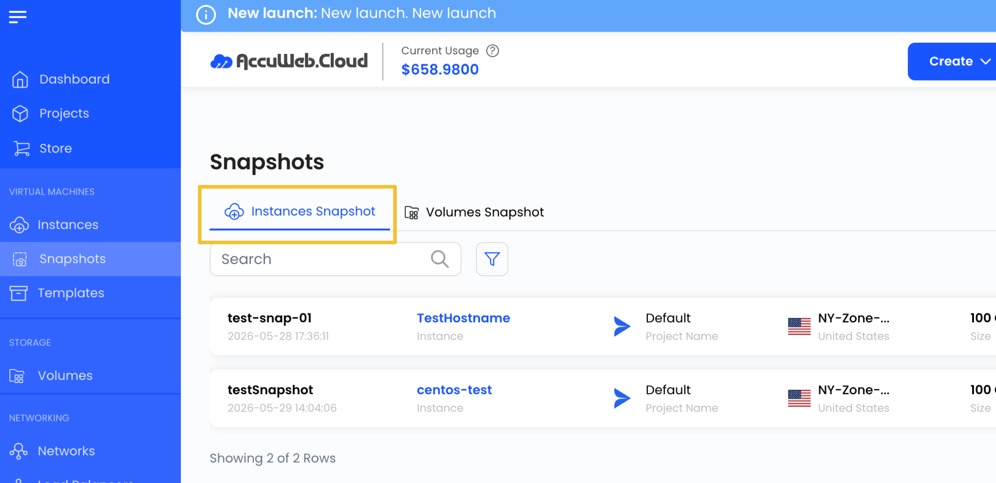 Instance Snapshot
